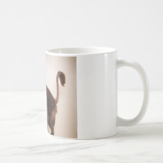 Mug Matin de singe encore ?