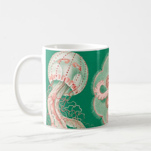 Mug Méduse, Discomedusae par Ernst Haeckel (Gauche)