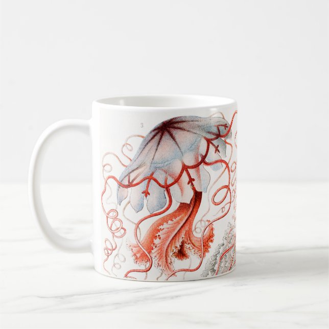 Mug Méduse, Discomedusae par Ernst Haeckel (Gauche)