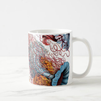 Mug Méduses d'Ernst Haeckel Discomedusae