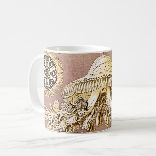 Mug Méduses, Discomedusae par Ernst Haeckel (Devant gauche)