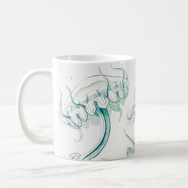 Mug Méduses, Discomedusae par Ernst Haeckel (Gauche)