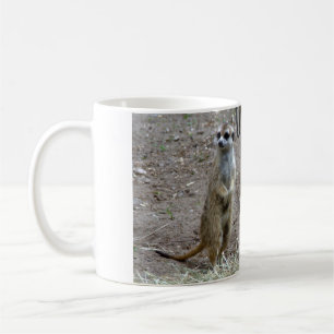 Mug Meerkat