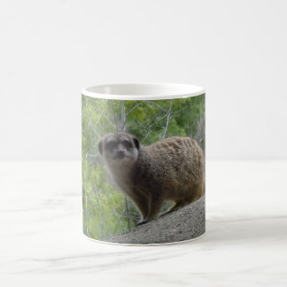 Mug Meerkat