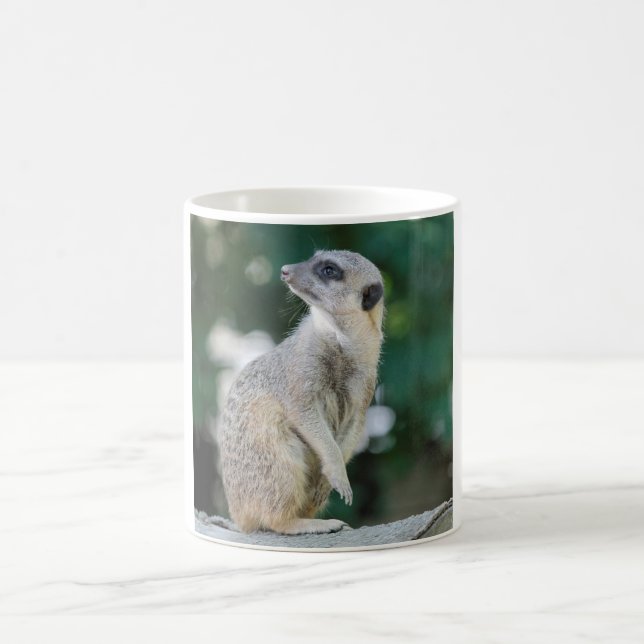 Mug Meerkat_2015_0103 (Centre)