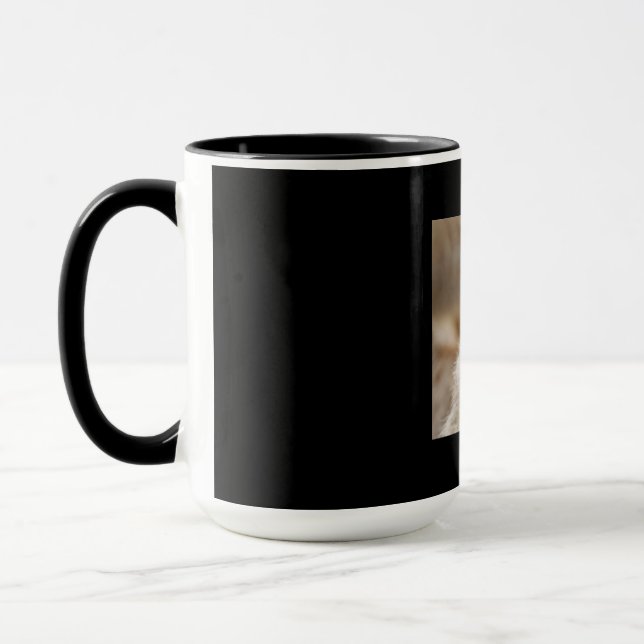 Mug Meerkat_2015_0216 (Gauche)