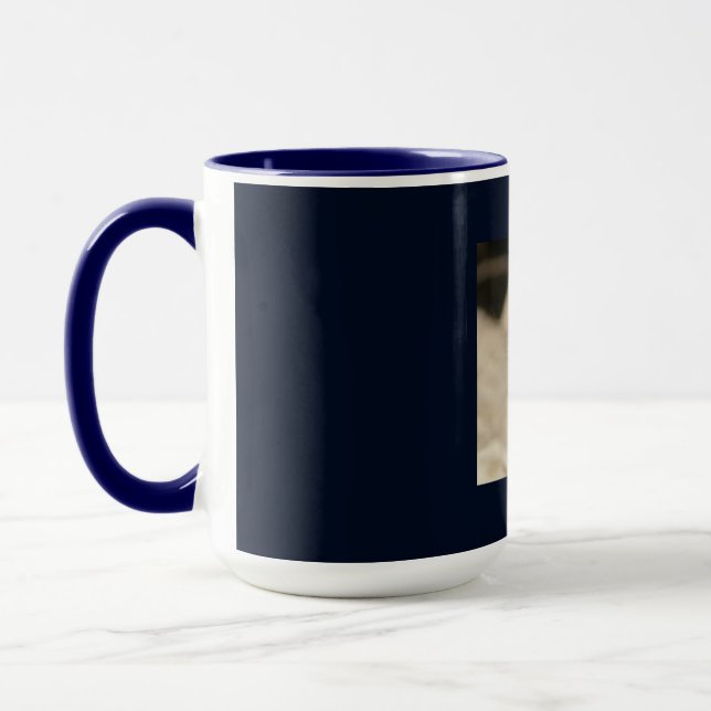 Mug Meerkat_2015_0405 (Gauche)