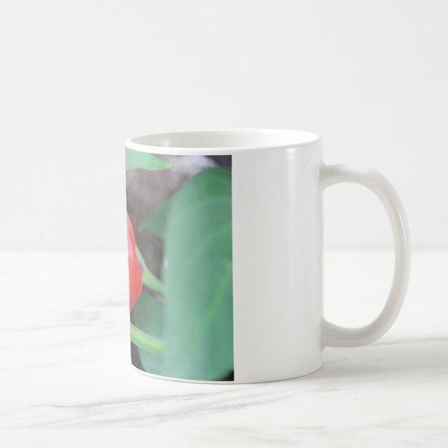 Mug Mélange de jardin de poivre (Droite)
