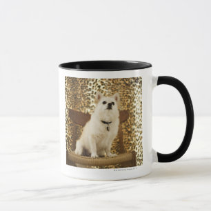 Mug Mélange de Pomeranian