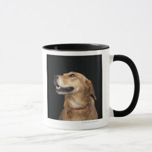 Mug Mélange d'or de laboratoire de beagle regardant au