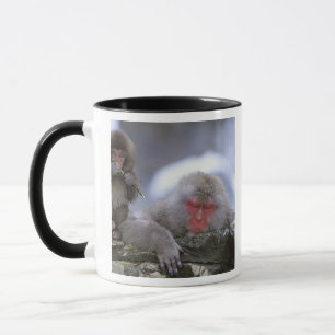 Mug Mère et enfant singe des neiges, Jigokudani, Nagan