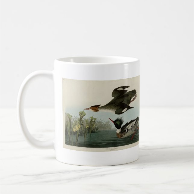 Mug Merganser à poitrine rouge, les oiseaux d'Amérique (Gauche)
