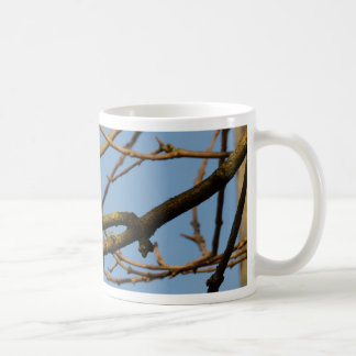 Mug Mésange bleue