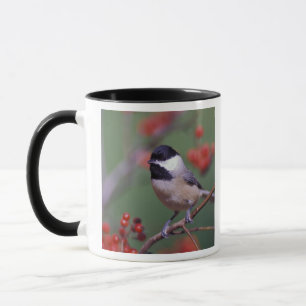 Mug Mésange de Caroline