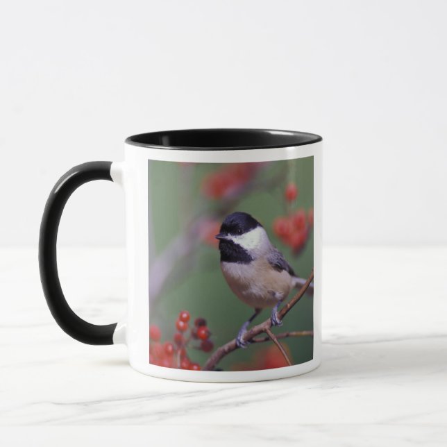 Mug Mésange de Caroline (Gauche)