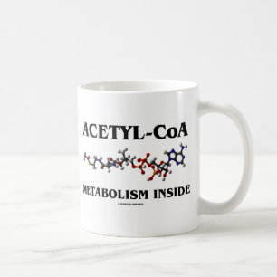 Mug Métabolisme de l'Acétyl-CoA à l'intérieur d'une mo