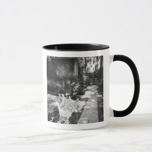 Mug MEXICO, D.F., Mexico City, COYOACAN : Banc à