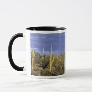 Mug Mexique, Baja del Norte, Catavina Desert National