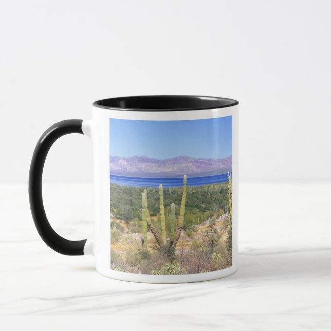 Mug Mexique, Basse-Californie du Sud, Cardon Cactus à (Gauche)
