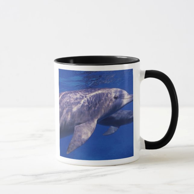 Mug Mexique, Cozumel. Dauphin en bouteille, Tursiops 2 (Droite)