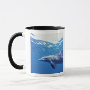 Mug Mexique, Cozumel. Dauphin en bouteille, Tursiops 3