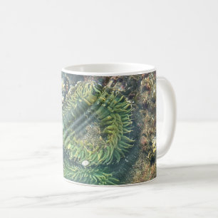 Mug Meyers Beach North, Gold Beach, Oregon