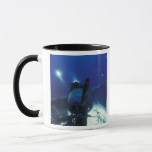 Mug Micronésie, Palaos, Site du patrimoine mondial. Pl