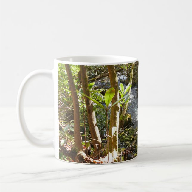 Mug Mingus Creek dans les Smoky Mountains (Gauche)