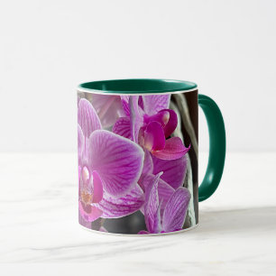 Mug Mini Phalaenopsis Sogo Vivien Orchidée violet