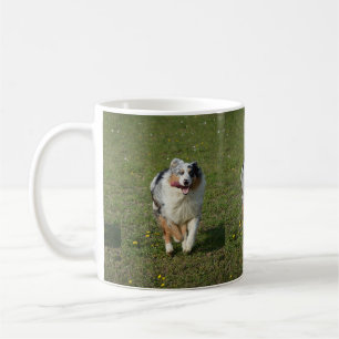 Mug Miniature American Shepherd Blue Merle Running