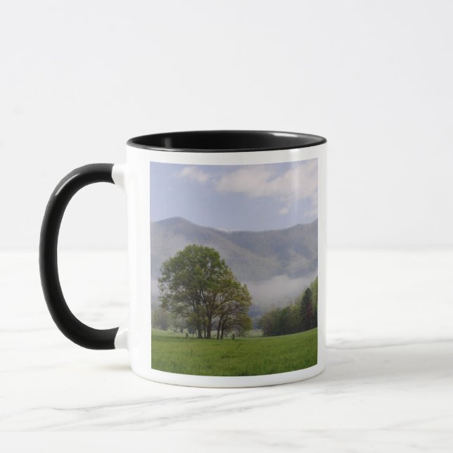 Mug Misty meadow and Rich Mountain, Cades Cove, (Gauche)