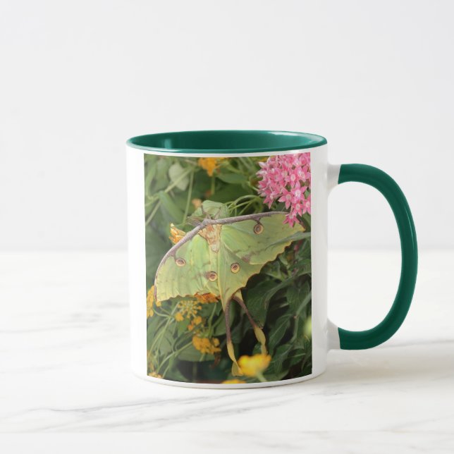 Mug mite verte (Droite)