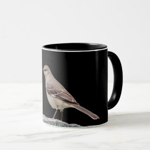 Mug Mockingbird sur une pierre tombale