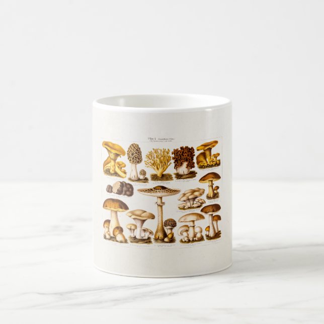 Mug Modèle vintage de champignons de variété de (Centre)
