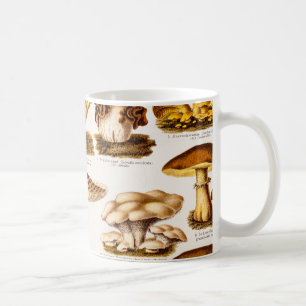 Mug Modèle vintage de variété de champignon de 1800s