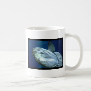 Mug Mola 001 de Mola de Sunfish