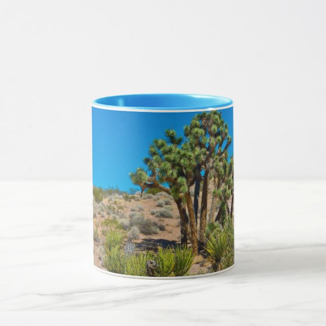 Mug Monument national de Gold Butte (Centre)
