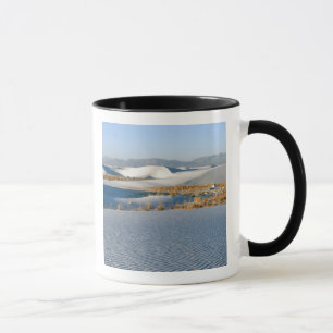 Mug Monument national de White Sands, Dunes transversa