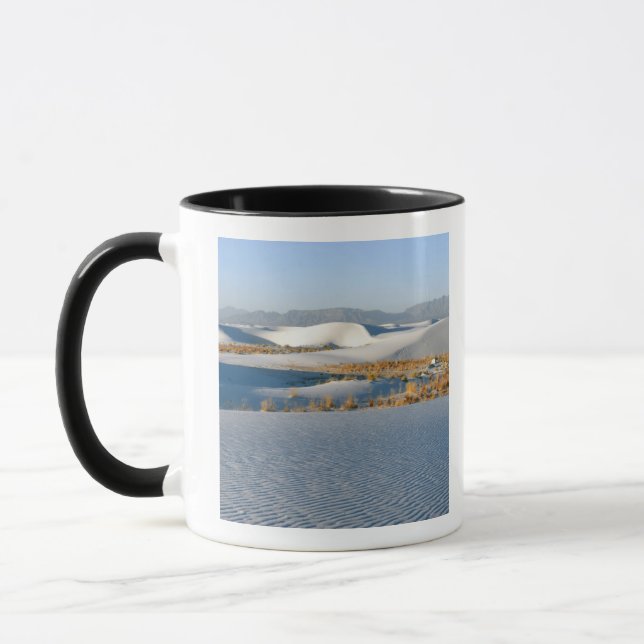 Mug Monument national de White Sands, Dunes transversa (Gauche)