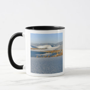 Mug Monument national de White Sands, Dunes transverse