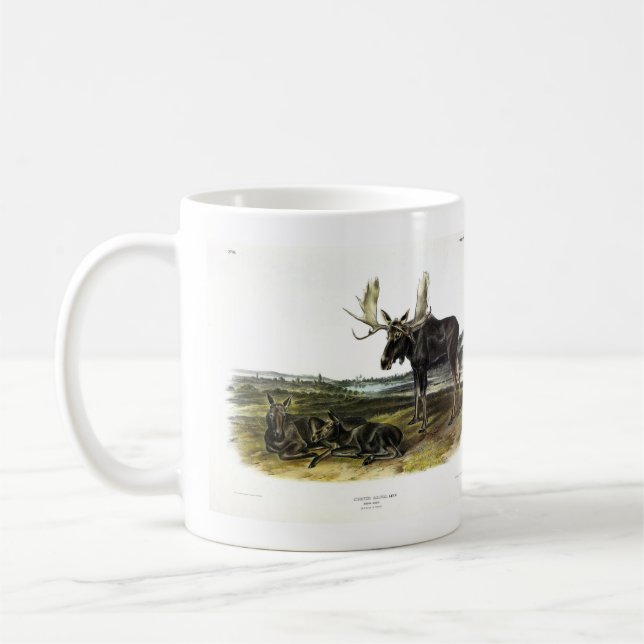 Mug Moose Deer (Moose - Alces alces) par Audubon (Gauche)