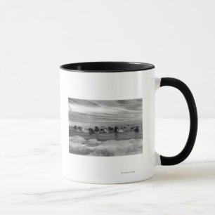 Mug Morse parmi les banquises en mer de Béring