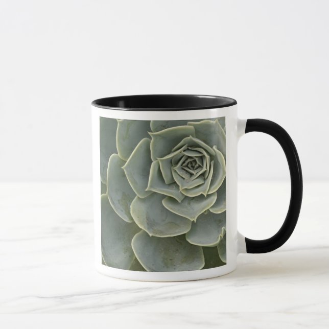 Mug Motif de cactus (Droite)