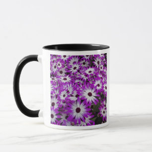 Mug Motif floral, Jardins de Kuekenhof, Lisse,