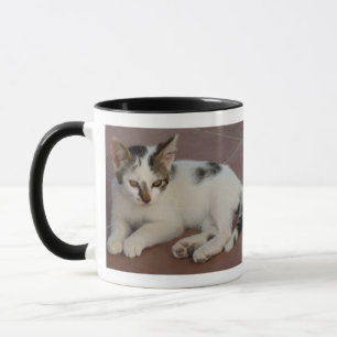 Mug Mouche de chaton