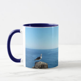 Mug Mouette sur l'île d'Anacapa dans les Channel Islan
