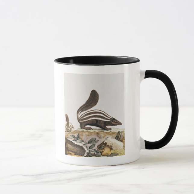 Mug Mouffette, de "Histoire Naturelle" par (Droite)