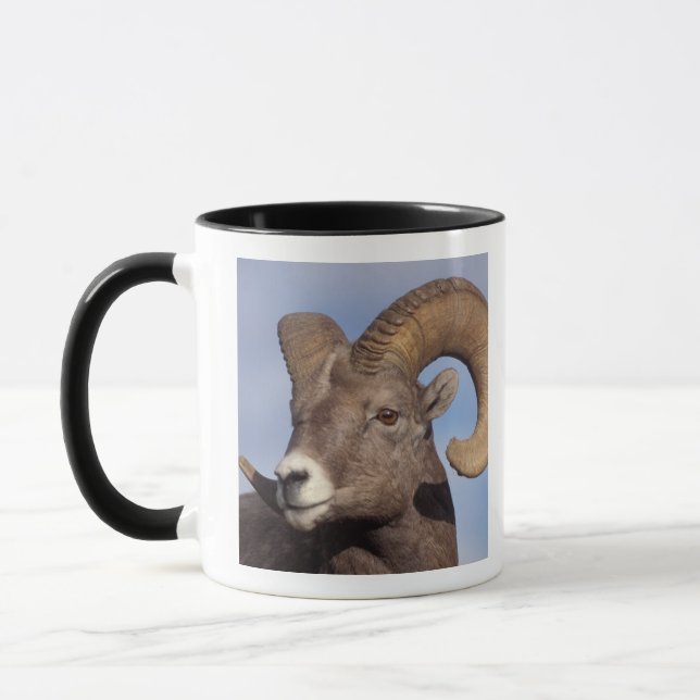 Mug mouflon canadien, mouflon d'Amérique, Ovis canaden (Gauche)