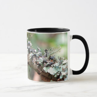 Mug Mousse et lichens