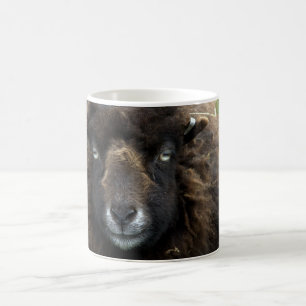 Mug Moutons